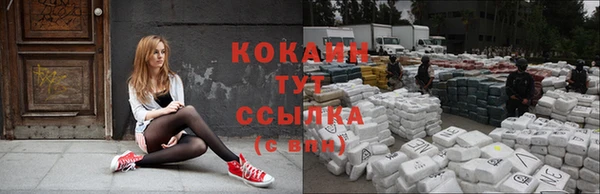 гидропоника Абаза