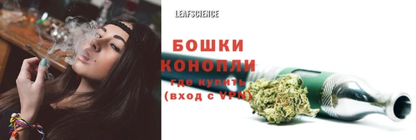 каннабис Алексеевка