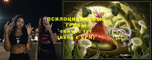 тгк Абдулино