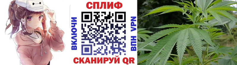 Марихуана планчик  Елизово 